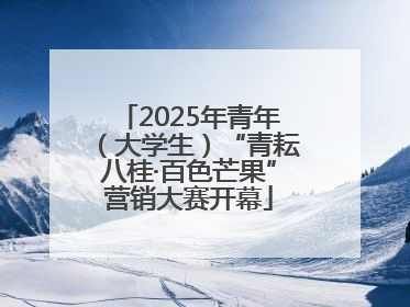 2025年青年（大学生）“青耘八桂·百色芒果”营销大赛开幕