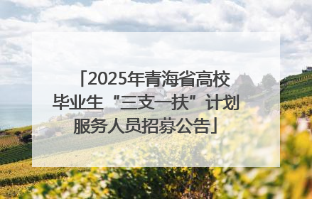 2025年青海省高校毕业生“三支一扶”计划服务人员招募公告