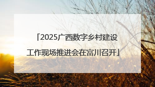 2025广西数字乡村建设工作现场推进会在富川召开
