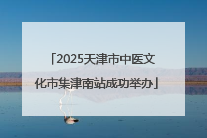 2025天津市中医文化市集津南站成功举办