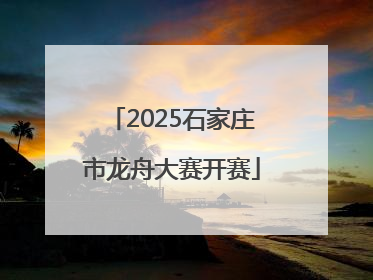 2025石家庄市龙舟大赛开赛