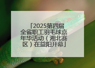 2025第四届全省职工羽毛球嘉年华活动（湘北赛区）在益阳开幕