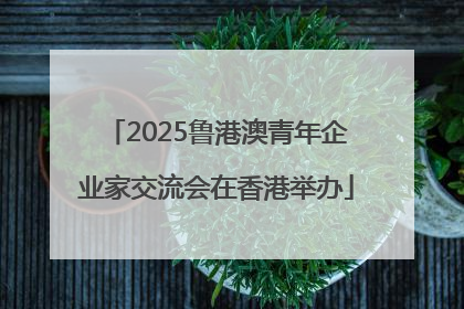 2025鲁港澳青年企业家交流会在香港举办