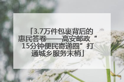 3.7万件包裹背后的惠民答卷——高安邮政“15分钟便民寄递圈”打通城乡服务末梢