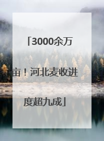 3000余万亩！河北麦收进度超九成