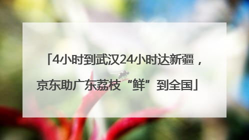 4小时到武汉24小时达新疆，京东助广东荔枝“鲜”到全国