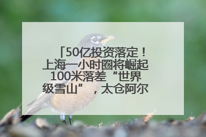 50亿投资落定！上海一小时圈将崛起100米落差“世界级雪山”，太仓阿尔卑斯二期重磅开工
