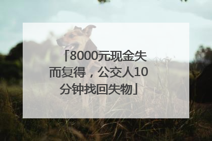 8000元现金失而复得，公交人10分钟找回失物