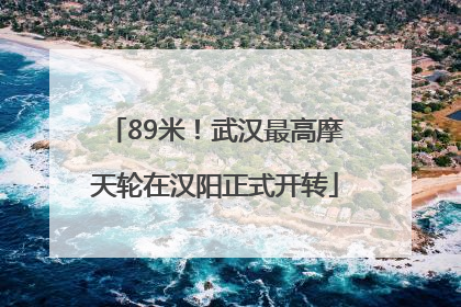89米！武汉最高摩天轮在汉阳正式开转
