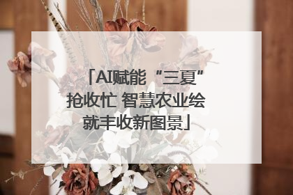 AI赋能“三夏”抢收忙 智慧农业绘就丰收新图景