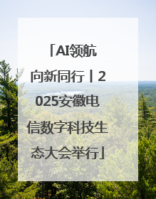 AI领航 向新同行丨2025安徽电信数字科技生态大会举行